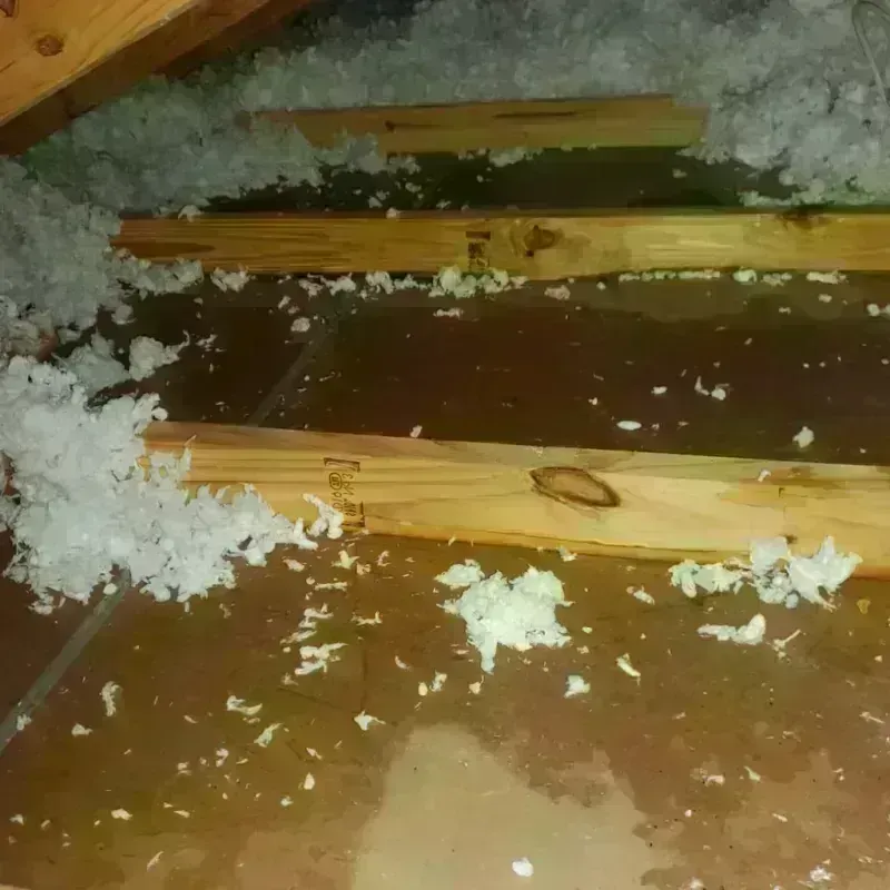 Attic Water Damage in Fairfax County, VA