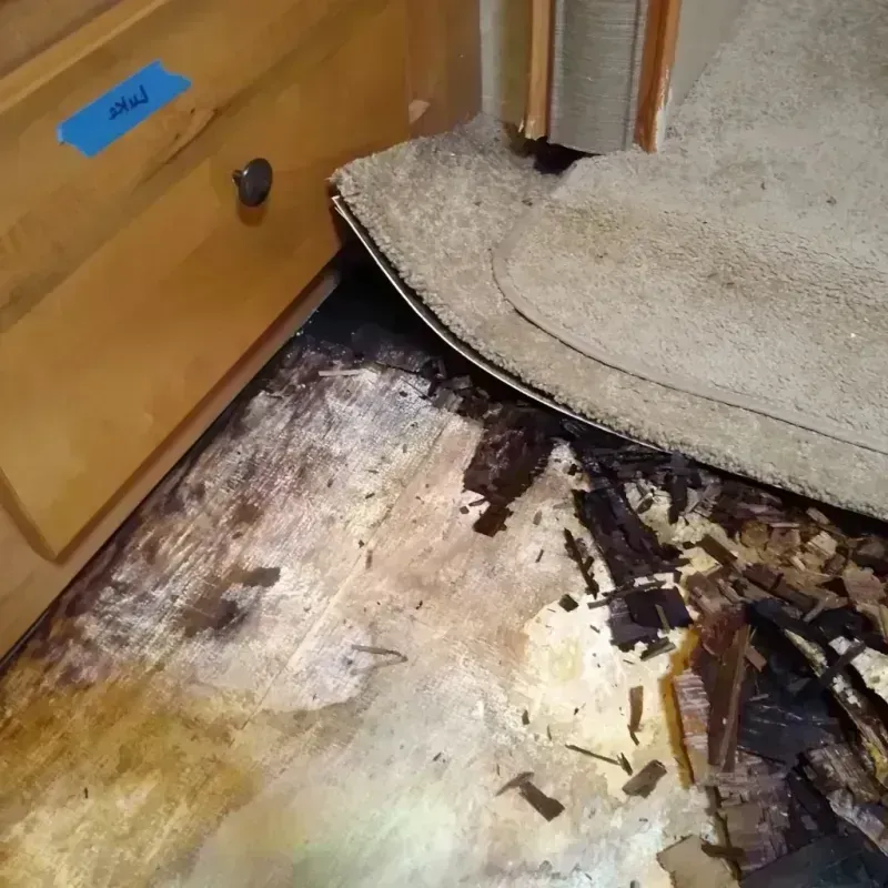 Wood Floor Water Damage in Fairfax County, VA